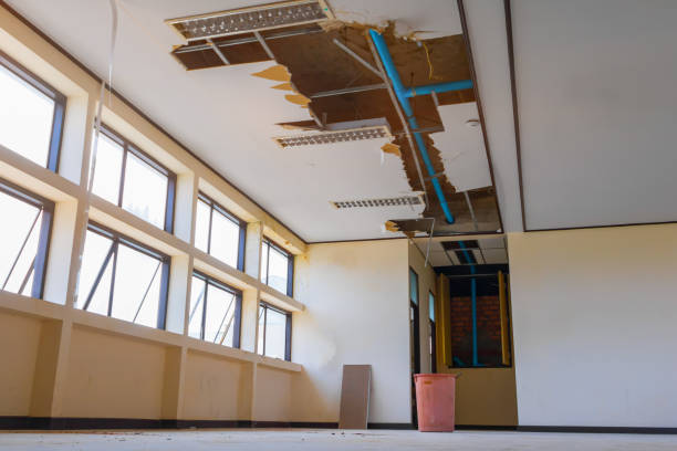 Best Flood restoration services  in Granger, WA
