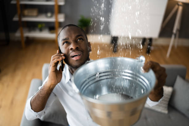 Best Water damage restoration near me  in Granger, WA