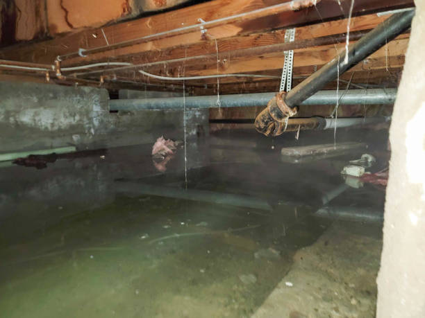 Best Water damage cleanup near me  in Granger, WA