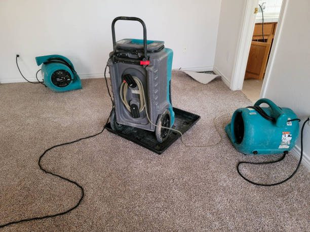 Best Emergency water extraction  in Granger, WA