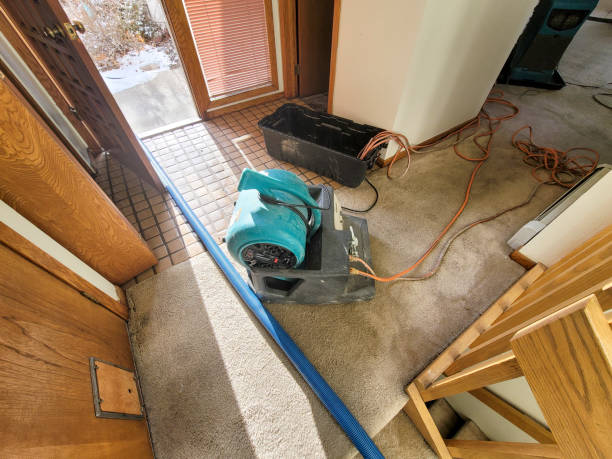 Best Residential water damage restoration  in Granger, WA