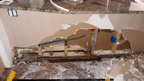 Water damage restoration mold remediation in WA
