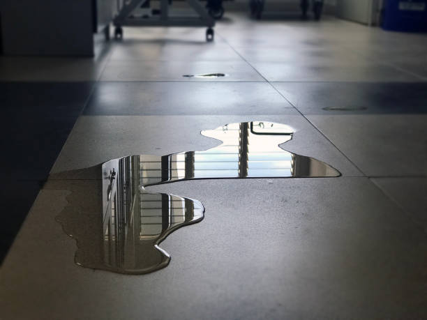 Best Water damage restoration company  in Granger, WA