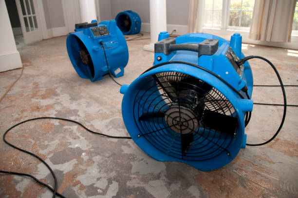 Best Flooded house restoration  in Granger, WA